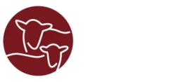 BOTOTI PICU